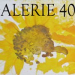 Galerie 40, Languedoc 